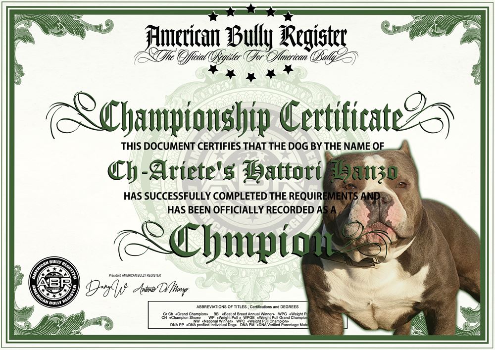 Essay Fountain Custom Essay Writing Service 247 Essay Fountain Custom Essay Writing Service 247